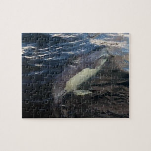 Gewöhnlicher Delfin Schwimmen Ozean Wildlife Fotog Puzzle