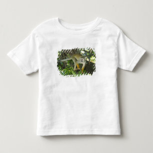 Gewöhnlicher Totenkopfaffe, (Saimiri sciureus), Ri Kleinkind T-shirt