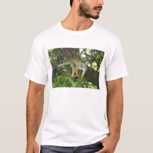 Gewöhnlicher Totenkopfaffe, (Saimiri sciureus), Ri T-Shirt
