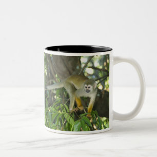 Gewöhnlicher Totenkopfaffe, (Saimiri sciureus), Ri Zweifarbige Tasse