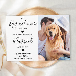 Gewohnter Foto Hund Ehrenhochzeit Save The Date
