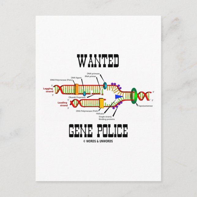 Gewollt Genpolizei (DNA Replication Spaß) Postkarte (Vorderseite)