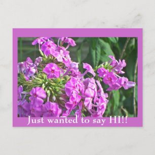 Gewollt, HI zu sagen!! Postkarte