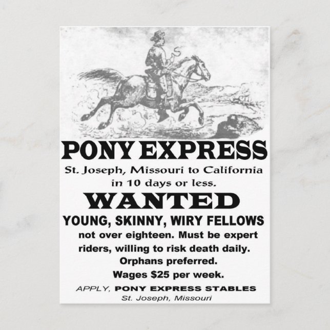 Gewollt Pony Express Rider Postkarte (Vorderseite)