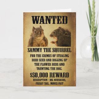 Gewollt Poster mit Eichhörnchen Karte