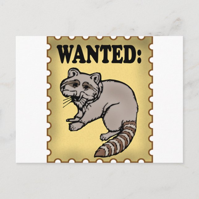 Gewollt Raccoon Postkarte (Vorderseite)