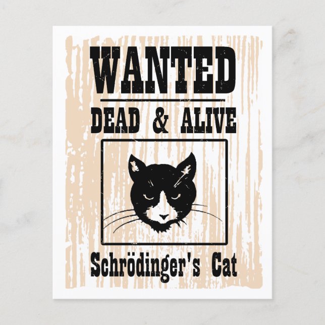 Gewollt Schrodinger-Katze Flyer (Vorne)