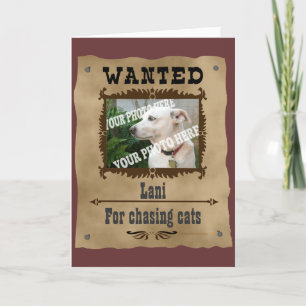 Gewollt Vorlage für Wild West Poster Pet-Vorlagen