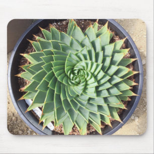 Gewundene Aloe Mousepad
