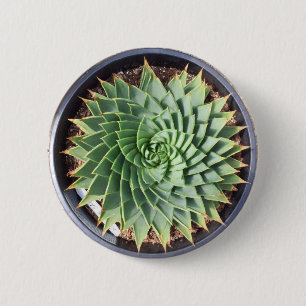 Gewundener Aloe-Knopf Button