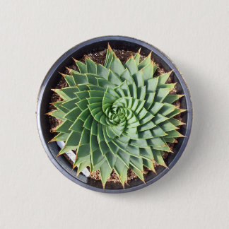Gewundener Aloe-Knopf Button