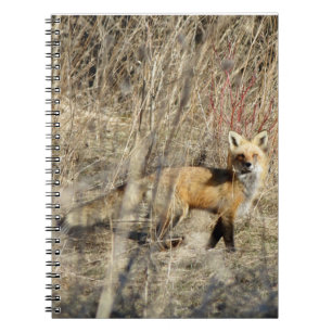 Gewundenes Notizbuch Adirondacks(NY) rotes Fox Notizblock