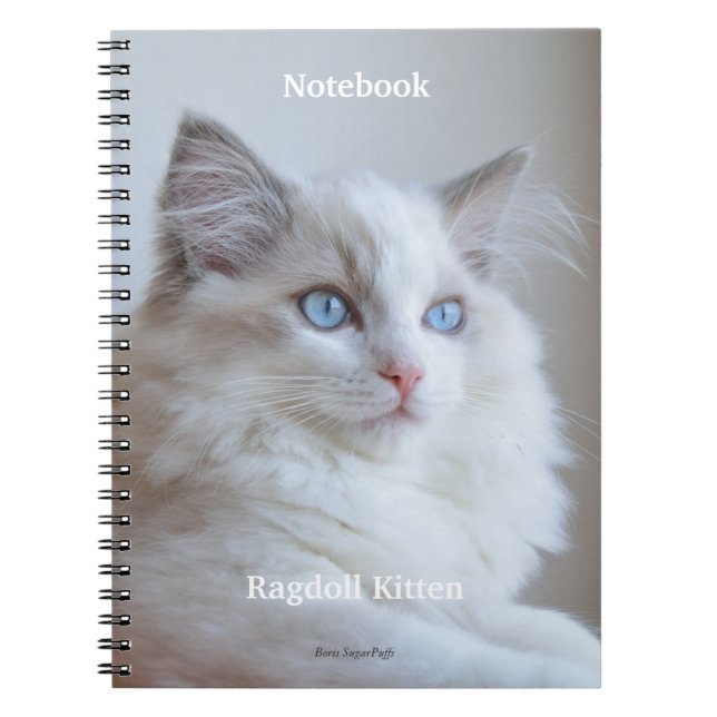 Gewundenes Notizbuch - Ragdoll Kätzchen Boris Notizblock (Vorderseite)