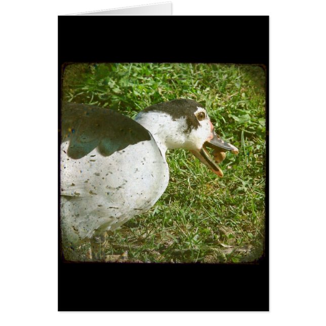 Gewürz isst und mahnt (Vorne)