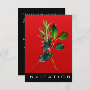 Gewürze Italienischer Koch Abendessen Haus Roter W Einladung