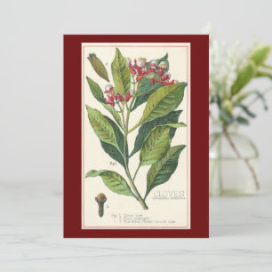 Gewürzkräuter für alte Lebensmittel, Nelkenpflanze