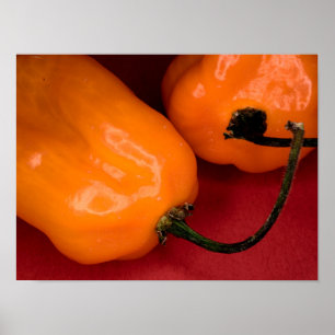 Gewürzposter der Habanero-Paprikaschoten Poster
