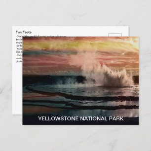 Geyser Fun Facts Yellowstone Nationalpark Postkarte