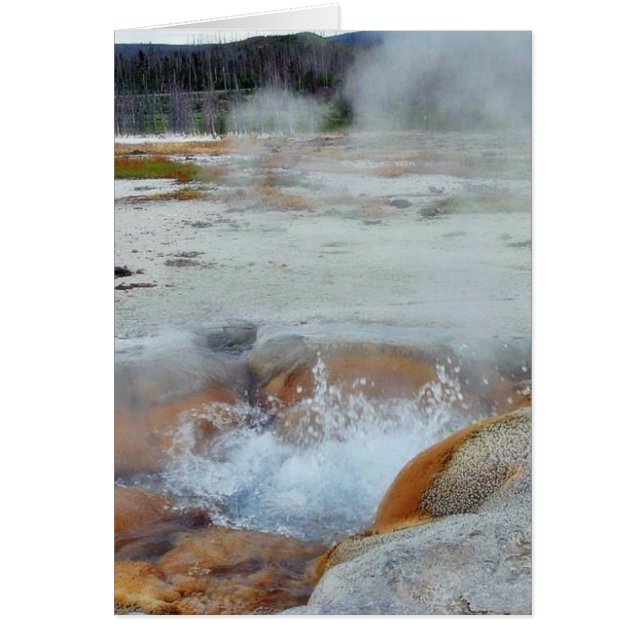 Geysers Steam Boiling Yellowstone (Vorne)