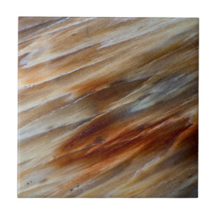 Gezacktes versteinertes Holz Fliese
