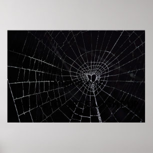 Gezänktes Web Poster