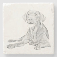 Gezeichnet Labrador Retriever Marmor Untersetzer