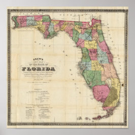 Gezeichnet neue Karte des Staat von Florida Poster