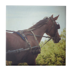 Gezeichnet Transport Fliese