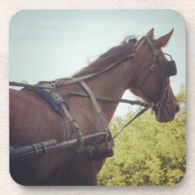 Gezeichnet Transport Untersetzer (Vorderseite)