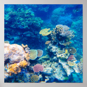 Gezeichnet von Great Barrier Reef Coral - #1 Poster