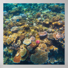 Gezeichnet von Great Barrier Reef Coral - #4 Poster