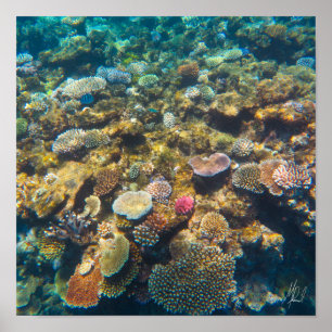 Gezeichnet von Great Barrier Reef Coral - #4 Poster