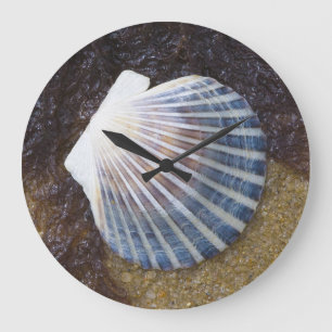 Gezeiten- Pool Große Wanduhr