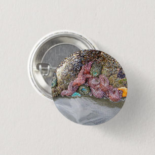 Gezeitenbad, Ruby Beach, Olympischer Nationalpark Button