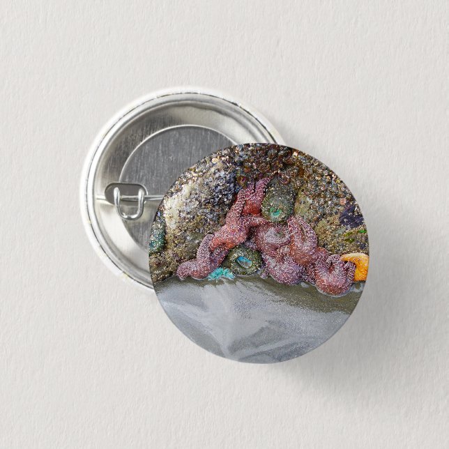 Gezeitenbad, Ruby Beach, Olympischer Nationalpark Button (Vorne & Hinten)