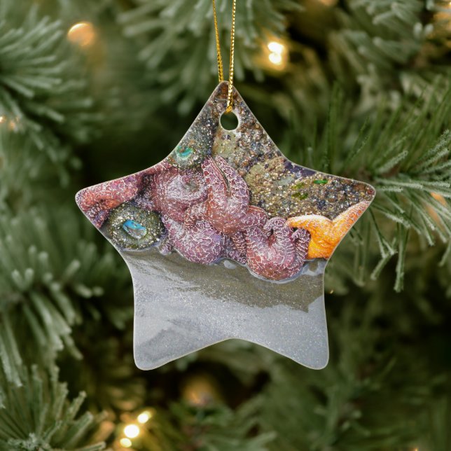 Gezeitenbad, Ruby Beach, Olympischer Nationalpark Keramikornament (Baum)