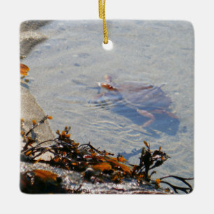 Gezeitenbecken am Sand Beach Keramikornament