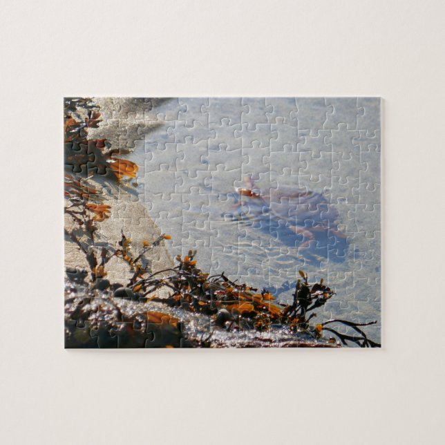 Gezeitenbecken am Sand Beach Puzzle (Horizontal)