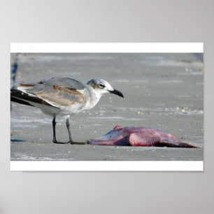 Gezeitenbüffet Poster