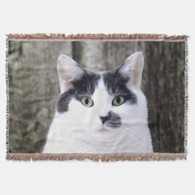 gh decke (Vorderseite)