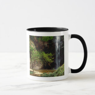 Ghana: Wli Falls, auch bekannt als Agumatsa Falls Tasse