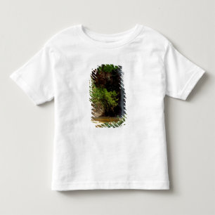 Ghana: Wli-Wasserfälle, auch Agumatsa-Wasserfälle Kleinkind T-shirt