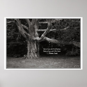 Ghandi Quote Poster, Perley Oak Monochrome Poster