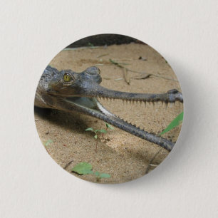 Gharial Button