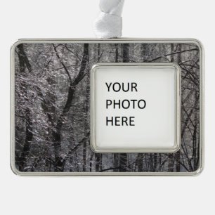 Ghear Icy Forest in Morgenlicht I Rahmen-Ornament Silber