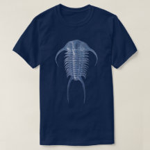 Ghoful Blue Paraceraurus Trilobit