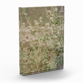 Ghost-Blume Fotoblock