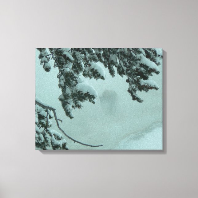 Ghost Buffalo Leinwanddruck (Vorderseite)