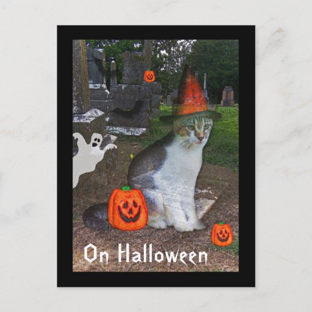 Ghost Cat Postkarte (Vorderseite)
