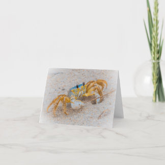 Ghost Crab oder Sand Crab Dankeskarte